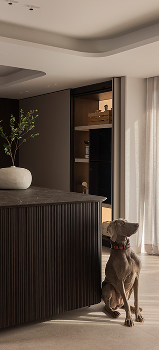 GINA35 awarded the iF DESIGN AWARD 2026